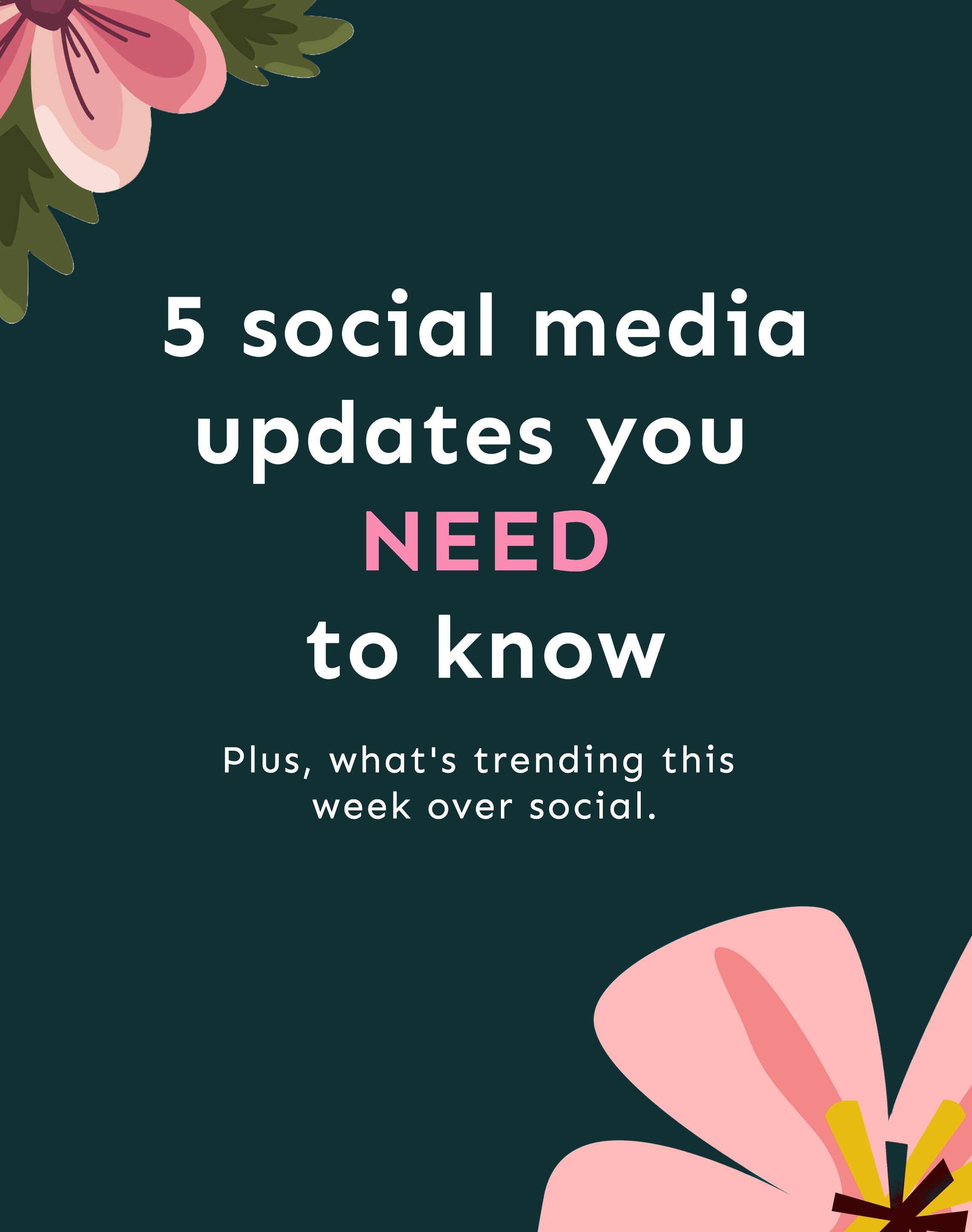 Social Media Updates